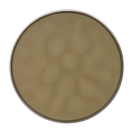 Premium Coffee Oil Infused Beard Balm